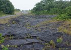 b Hilo Hawaii (44)